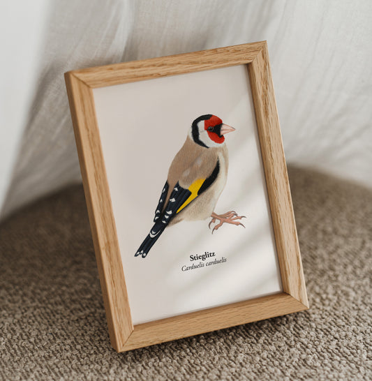 Stieglitz Postkarte im Holzrahmen, Naturillustration Distelfink als Mini Kunstdruck