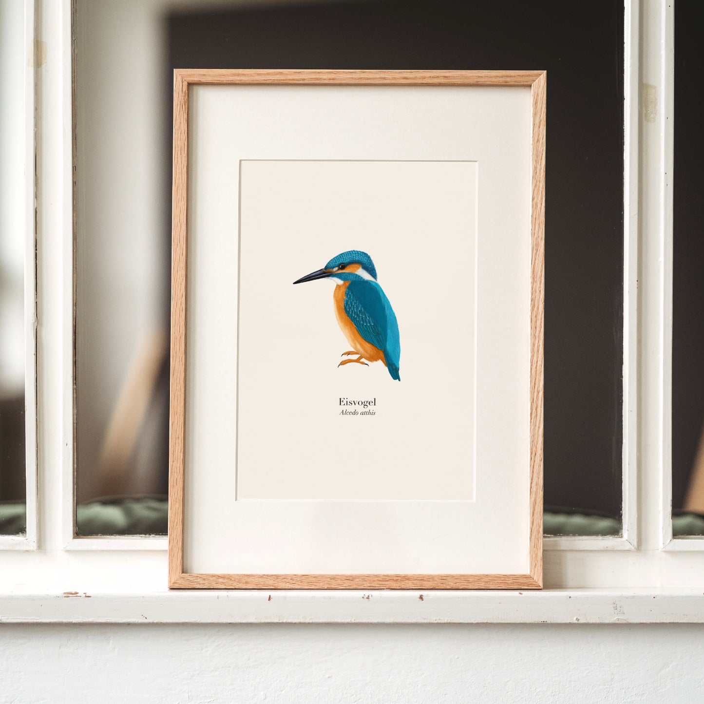 Eisvogel Poster im Holzrahmen mit Passepartout auf Fensterbrett