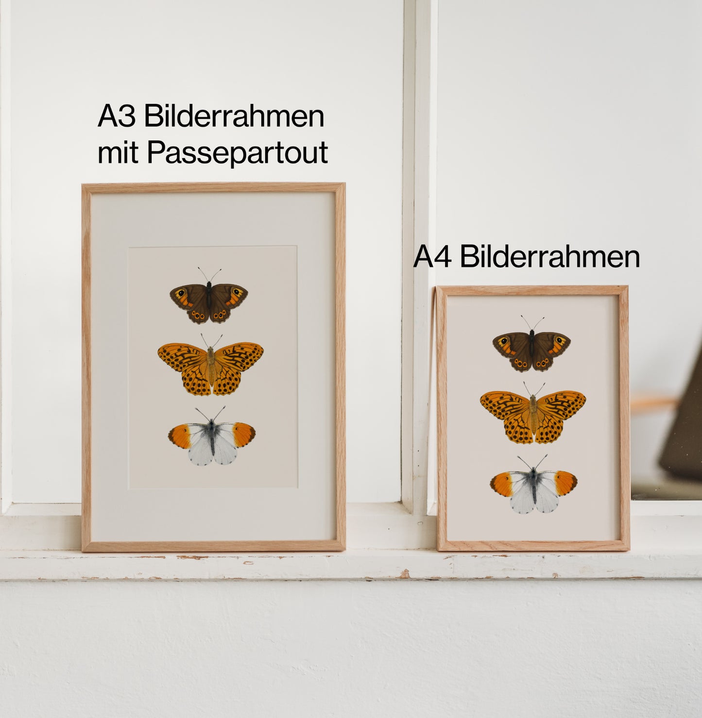 Nahaufnahme des Schmetterlingsposters mit Aurorafalter, Kaisermantel und Braunauge – naturgetreu gezeichnet auf FSC®-Papier