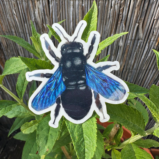 Vinyl Sticker mit Illustration einer Blauen Holzbiene