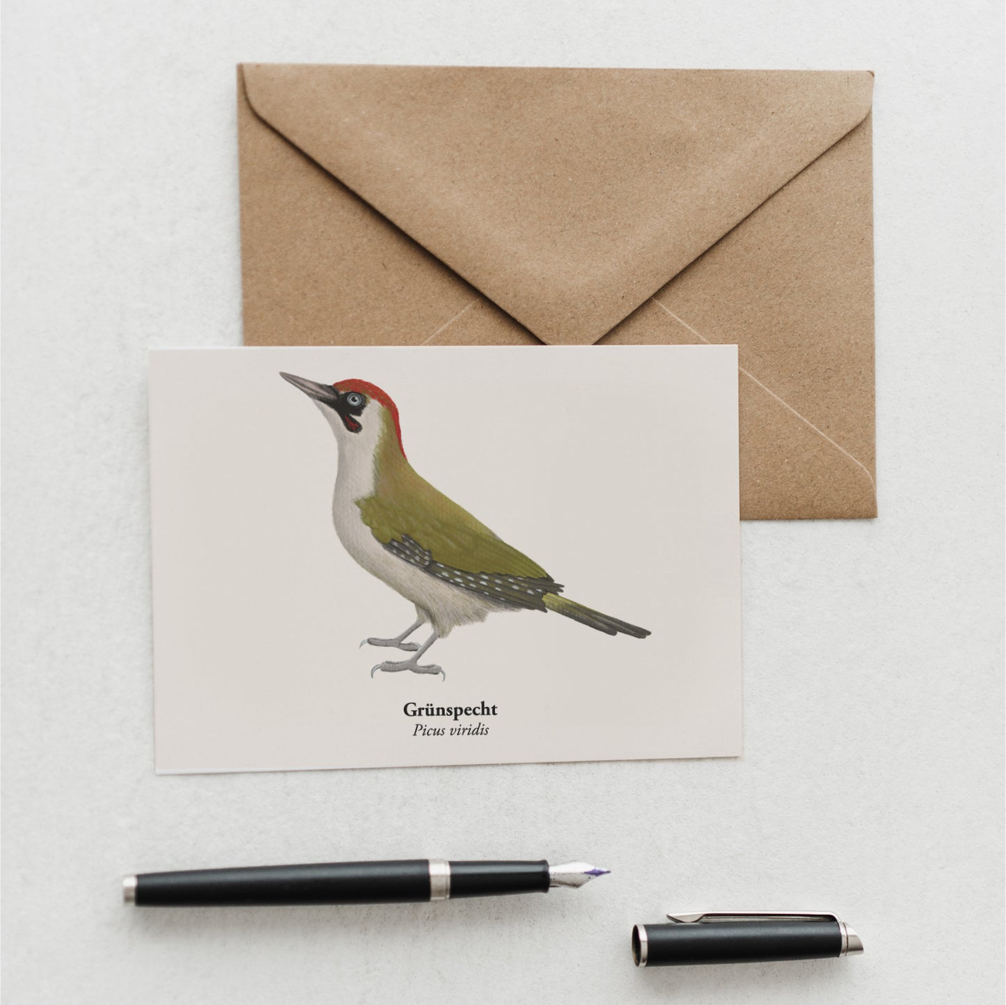 Grünspecht Kunstpostkarte A6 – Picus viridis Zeichnung