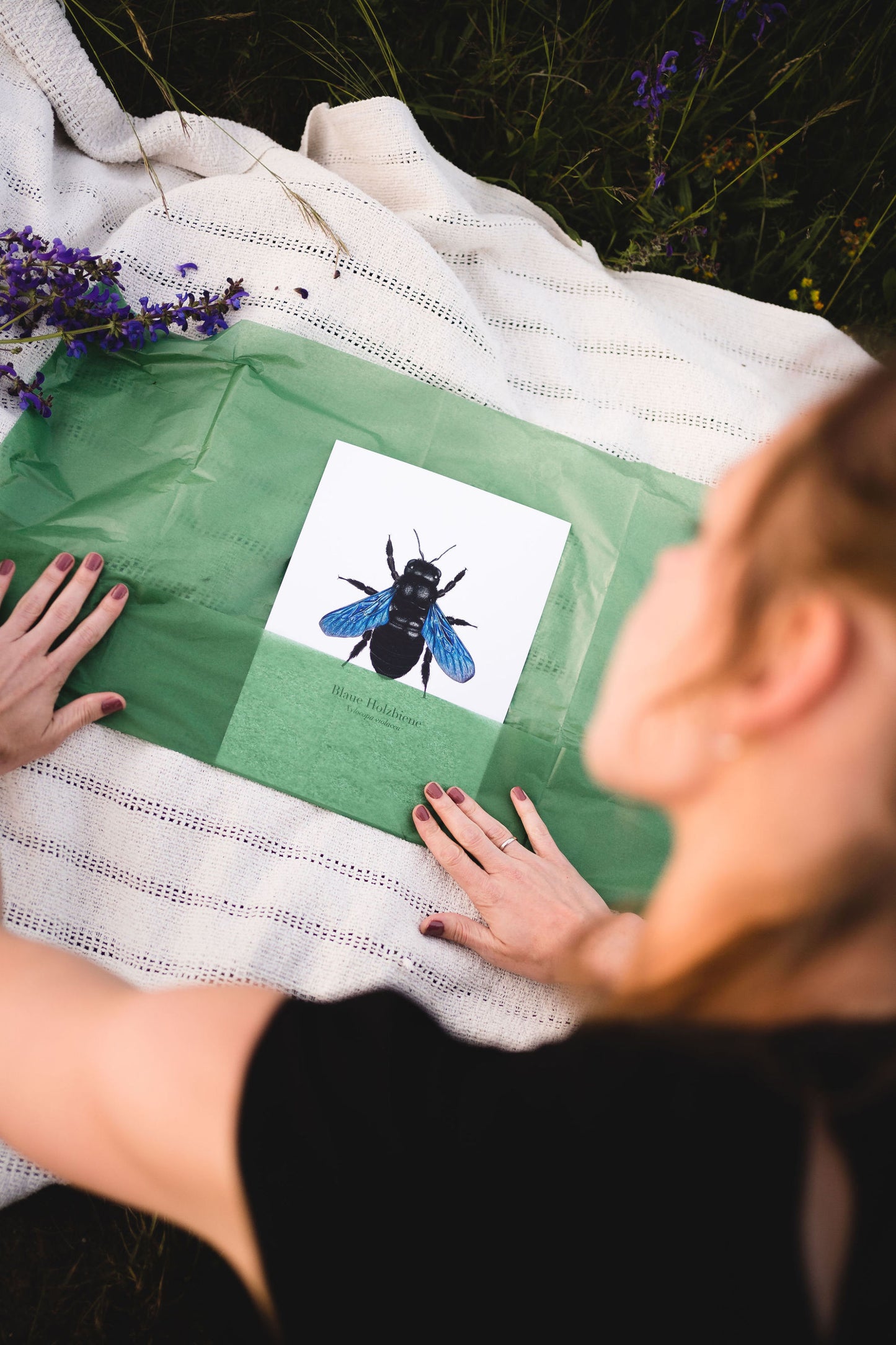 Blaue Holzbiene Print – detailreicher Kunstdruck der Wildbiene (Xylocopa violacea)