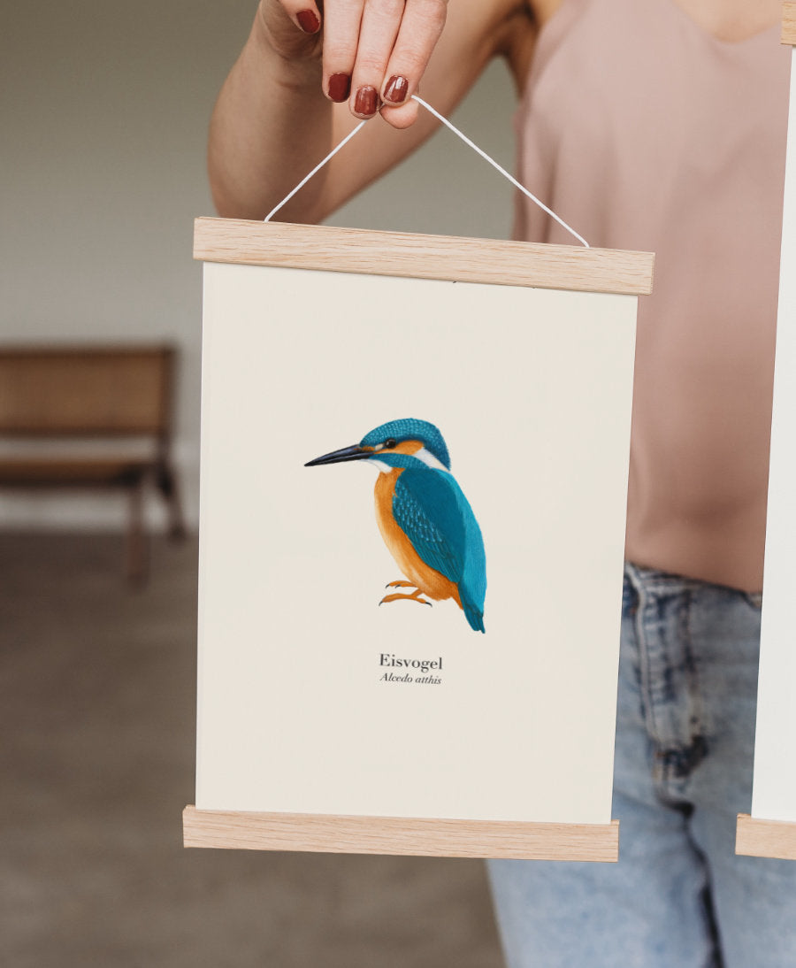 3er Poster Set heimische Vögel – Natur Poster mit Auswahl aus 24 Arten, personalisierbar & optional gerahmt