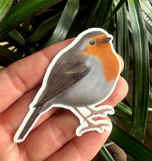 Rotkehlchen Vinyl Sticker in der Hand