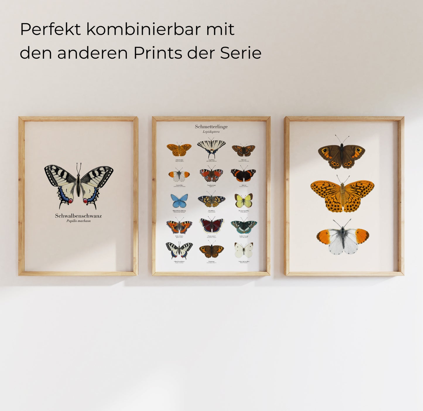 Wandbild mit drei gezeichneten Schmetterlingen – stilvoll gerahmt, ideal als naturinspirierte Dekoration oder Geschenkidee
