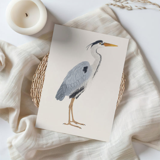Graureiher Postkarte – Vogel Illustration | Kunstpostkarte A6