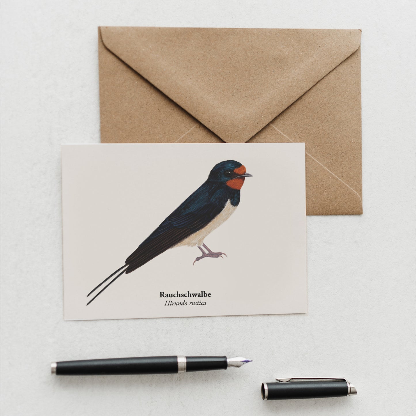 Kunstpostkarte mit Schwalbe Zeichnung - Mini Print A6