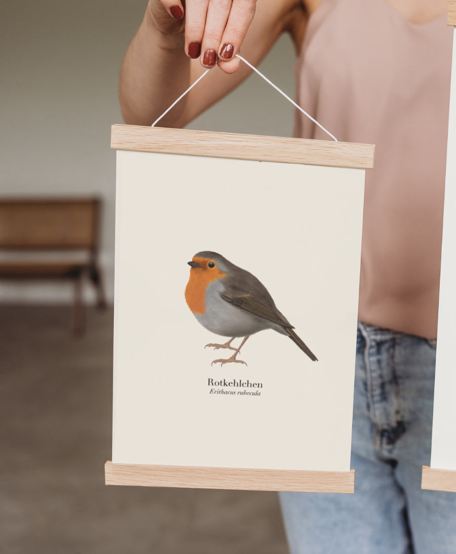 Posterleiste mit Rotkehlchen Illustration – naturgetreues Vogelbild