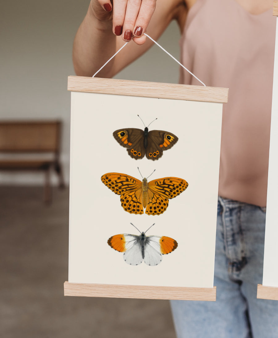 Schmetterlingsposter in Eichenholz-Posterleiste – Naturillustration mit drei Schmetterlingen, gehalten von Hand