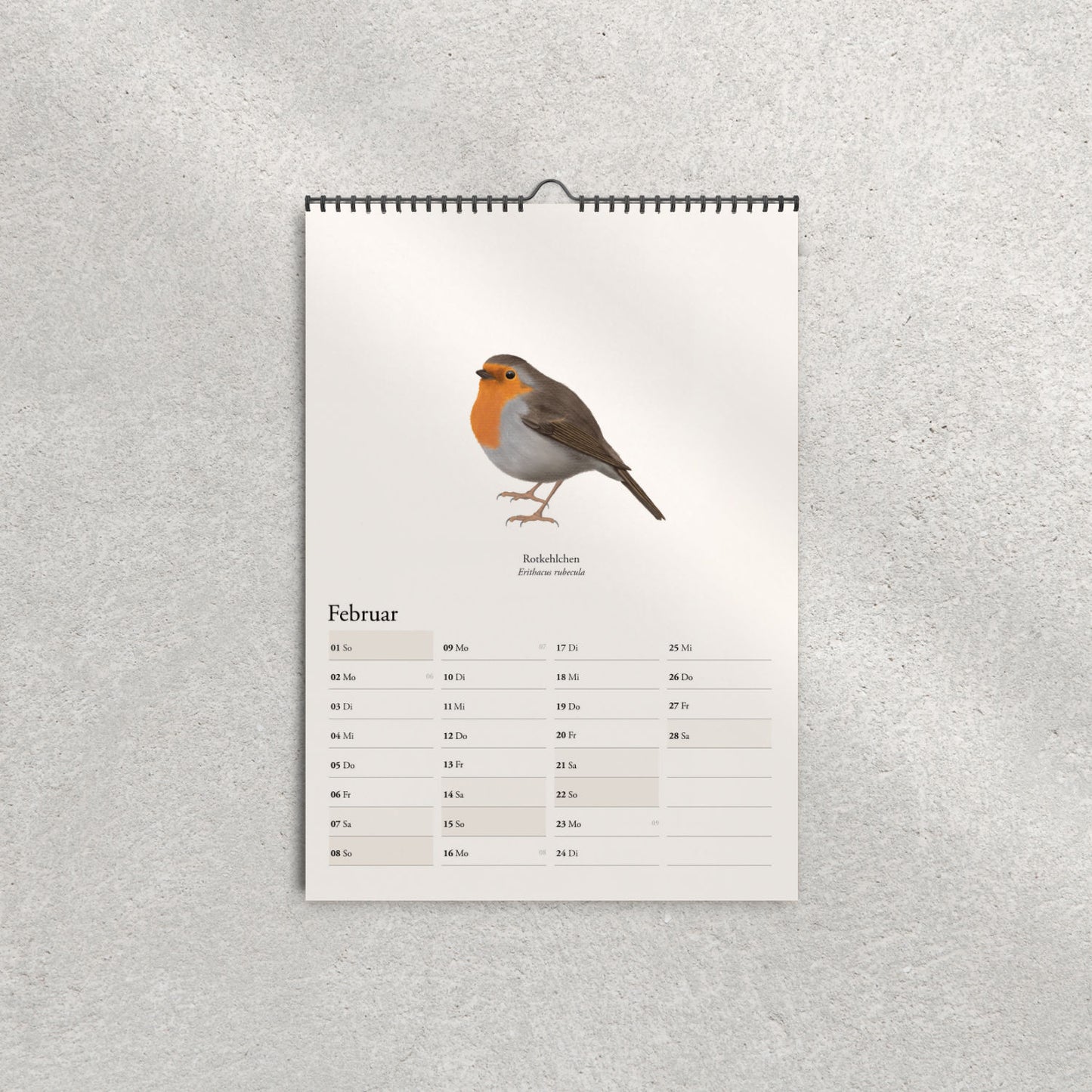 Rotkehlchen Illustration im Kalender 2026 – Erithacus rubecula
