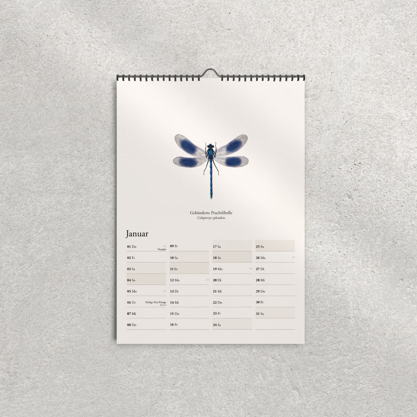 Gebänderte Prachtlibelle – Januar-Motiv im Wandkalender 2026