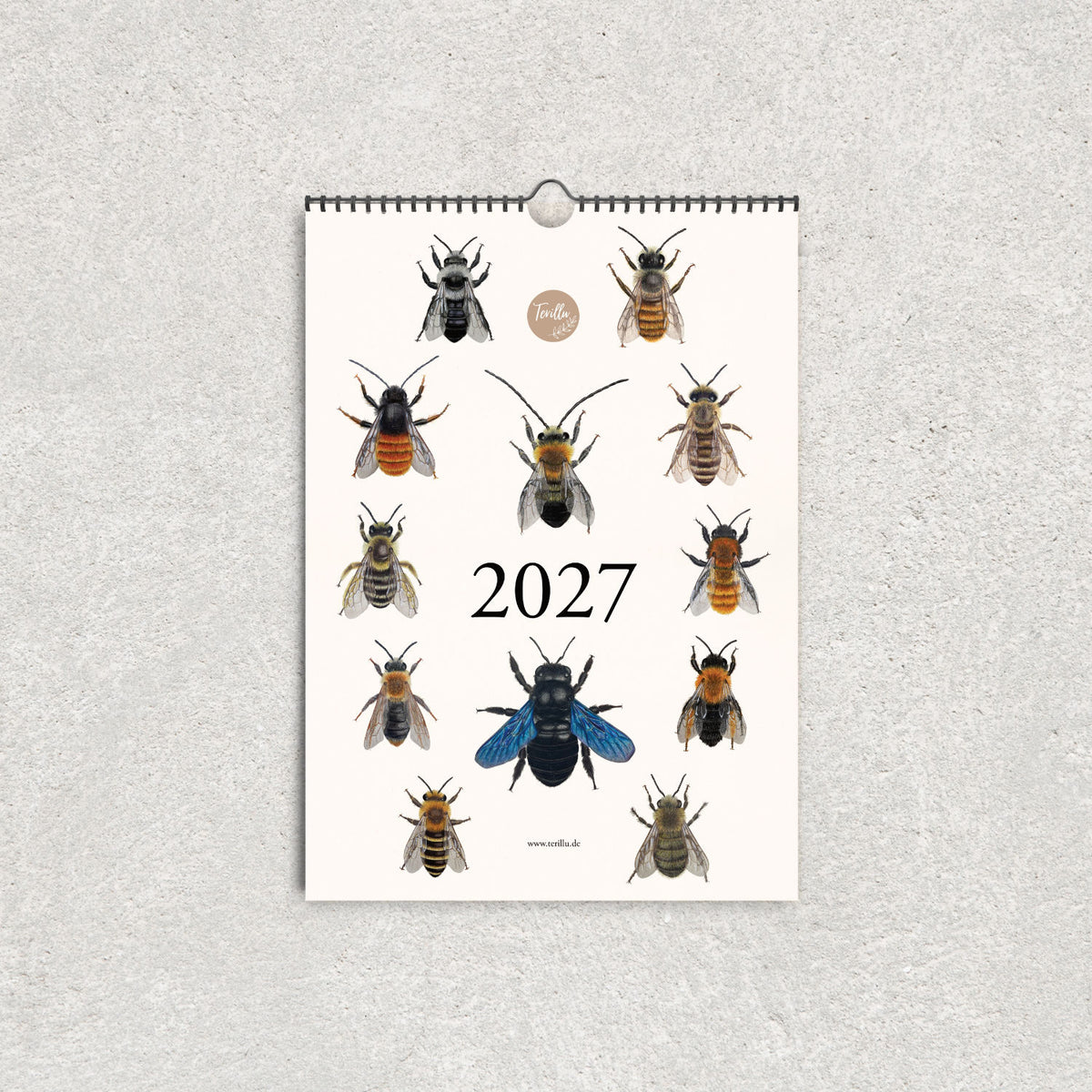Bienenkalender 2027 im A3-Format mit zwölf detailreichen Illustrationen verschiedener Bienenarten auf cremefarbenem Hintergrund