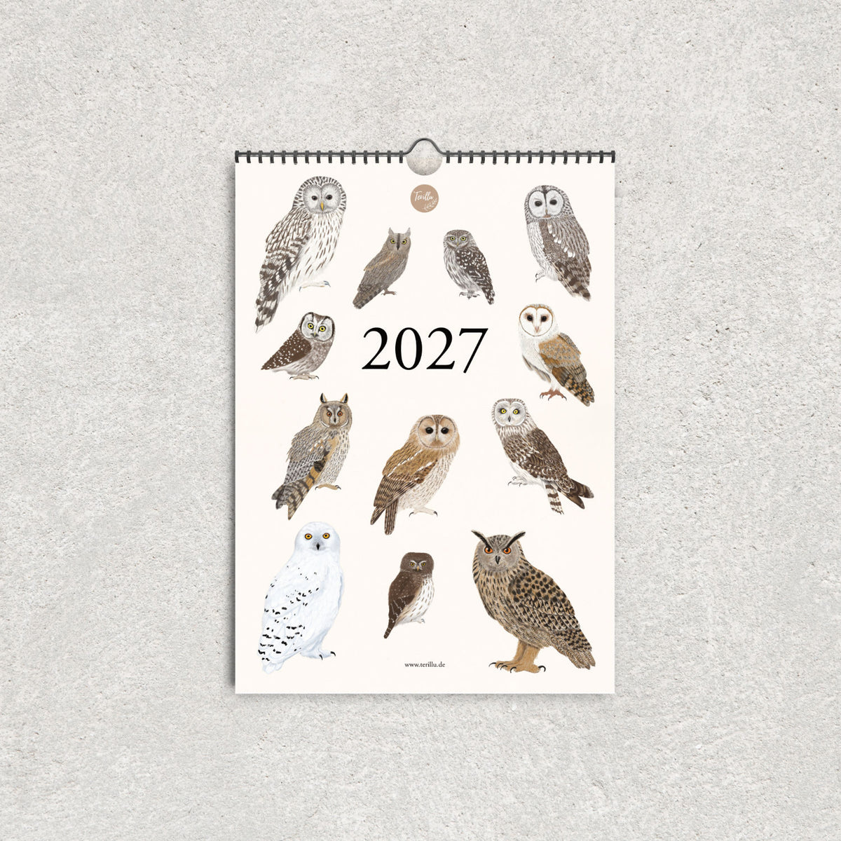 Wandkalender 2027 mit Eulen von Terillu – Titelblatt mit zwölf handgezeichneten Eulenillustrationen