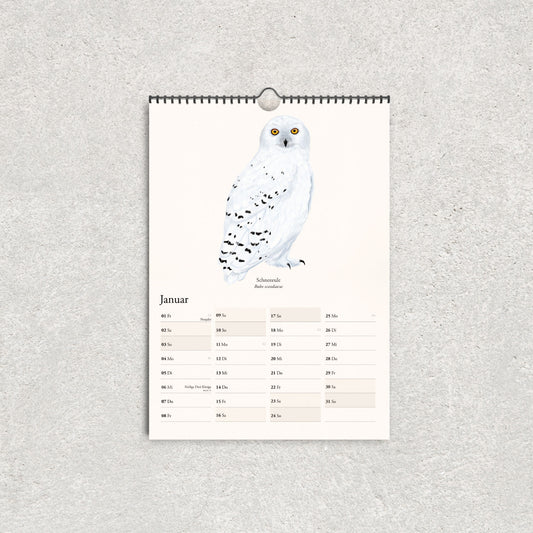 Eulen Kalender 2027 im A3-Format mit handgezeichneter Schneeeule und Kalendarium für Januar