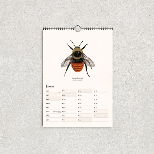 Hummelkalender 2027 mit handgezeichneter Berglandhummel und übersichtlichem Januar-Kalendarium