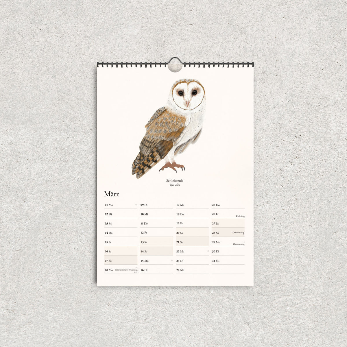 A3-Wandkalender mit handgezeichneter Schleiereule und Monatskalender für März 2027