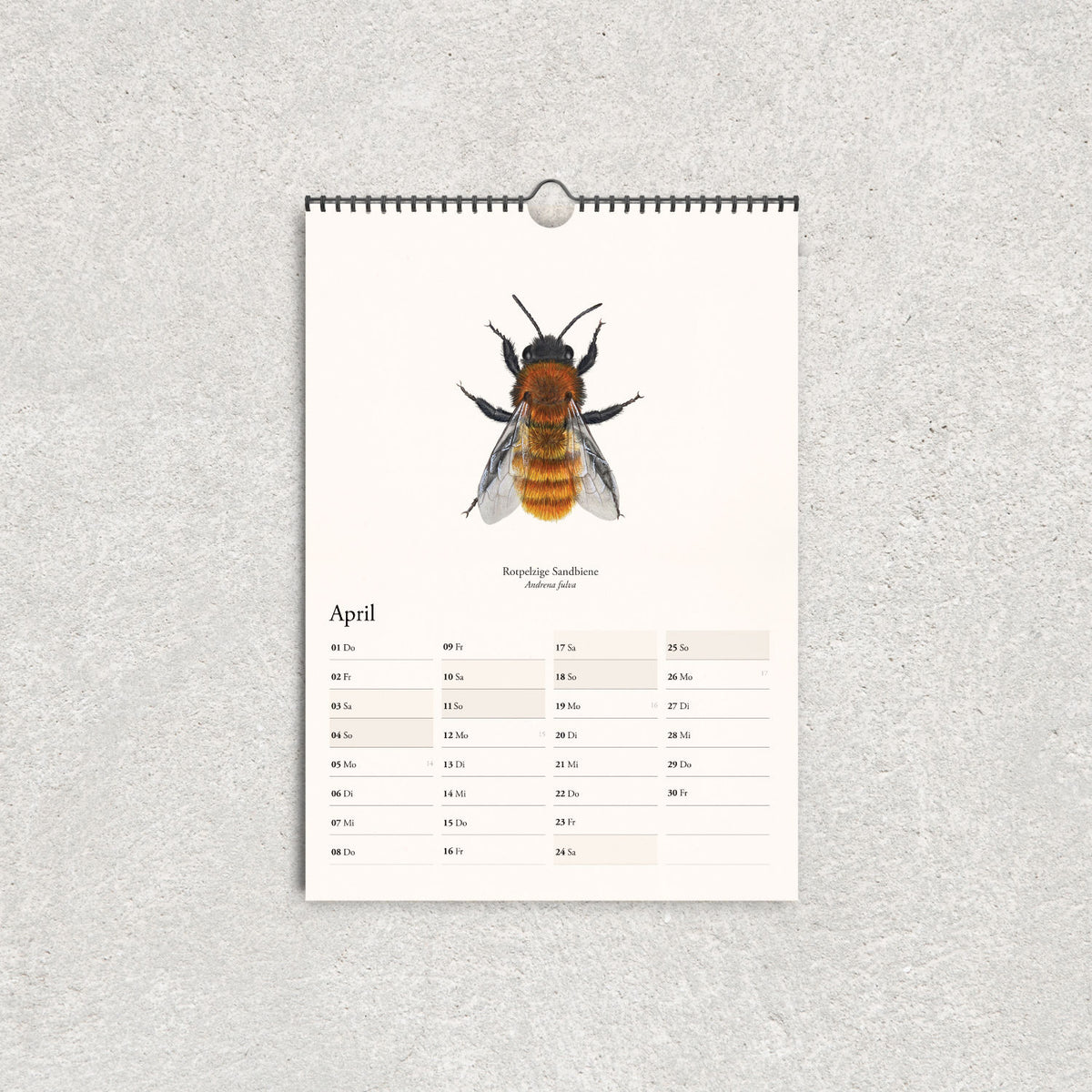 Wandkalender 2027 mit Bienen – 12 heimische Bienenarten