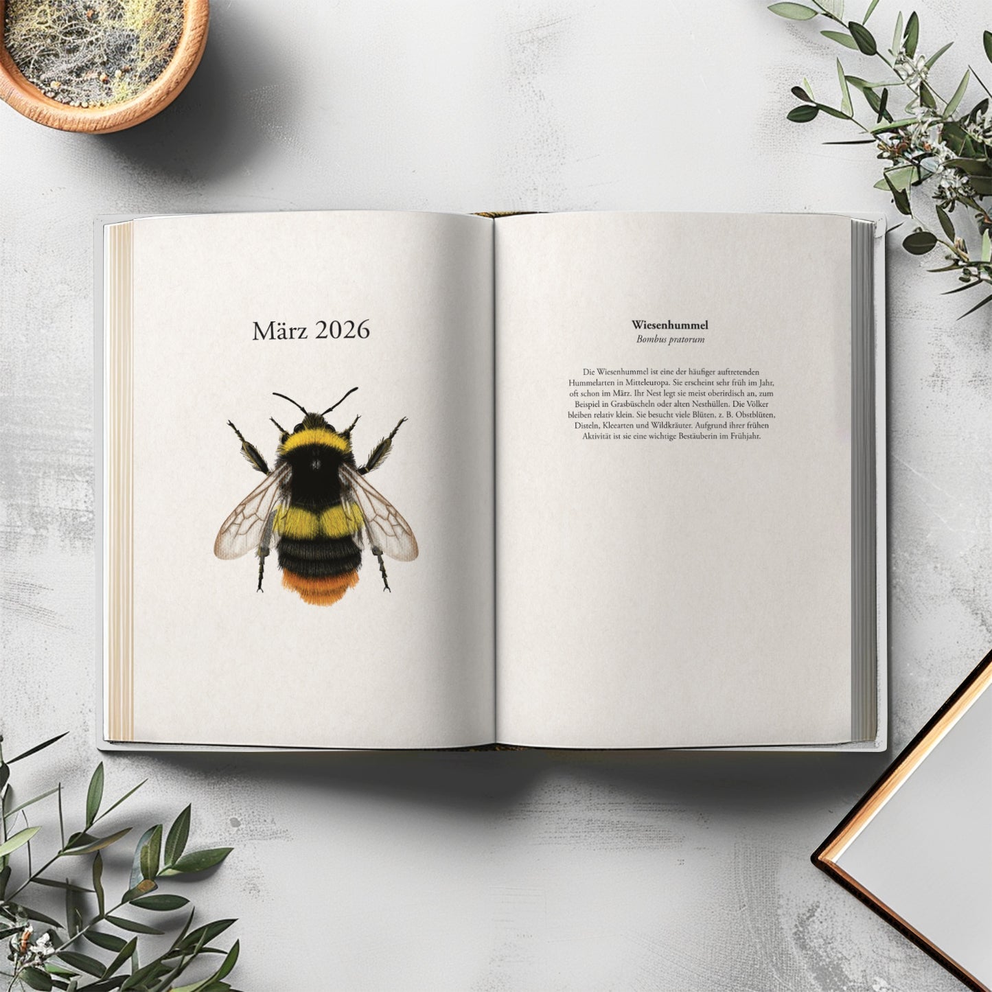 Hummel Planer 2026 – Nachhaltiger Terminplaner im A5-Format mit Illustrationen heimischer Hummeln