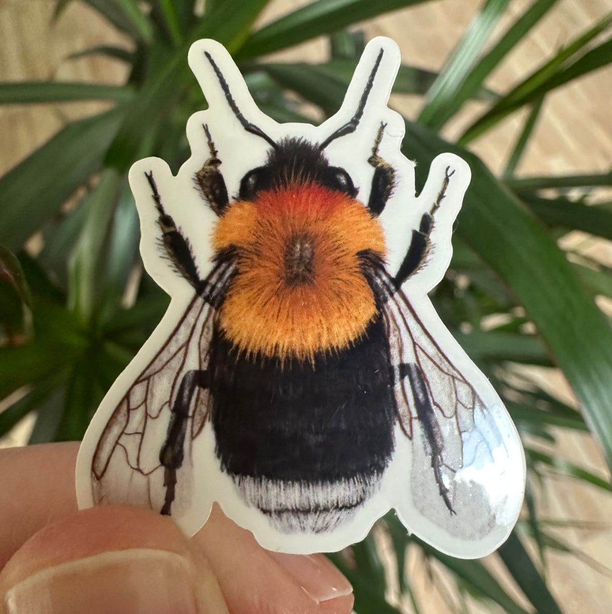 Hummel Vinyl Sticker Set – Naturmotive als Aufkleber für Laptop, Handy & mehr