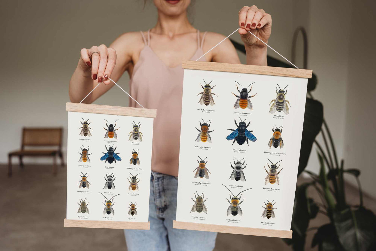 Natur Poster Bienen – 12 Bienen Zeichnungen zum Wildbienen bestimmen