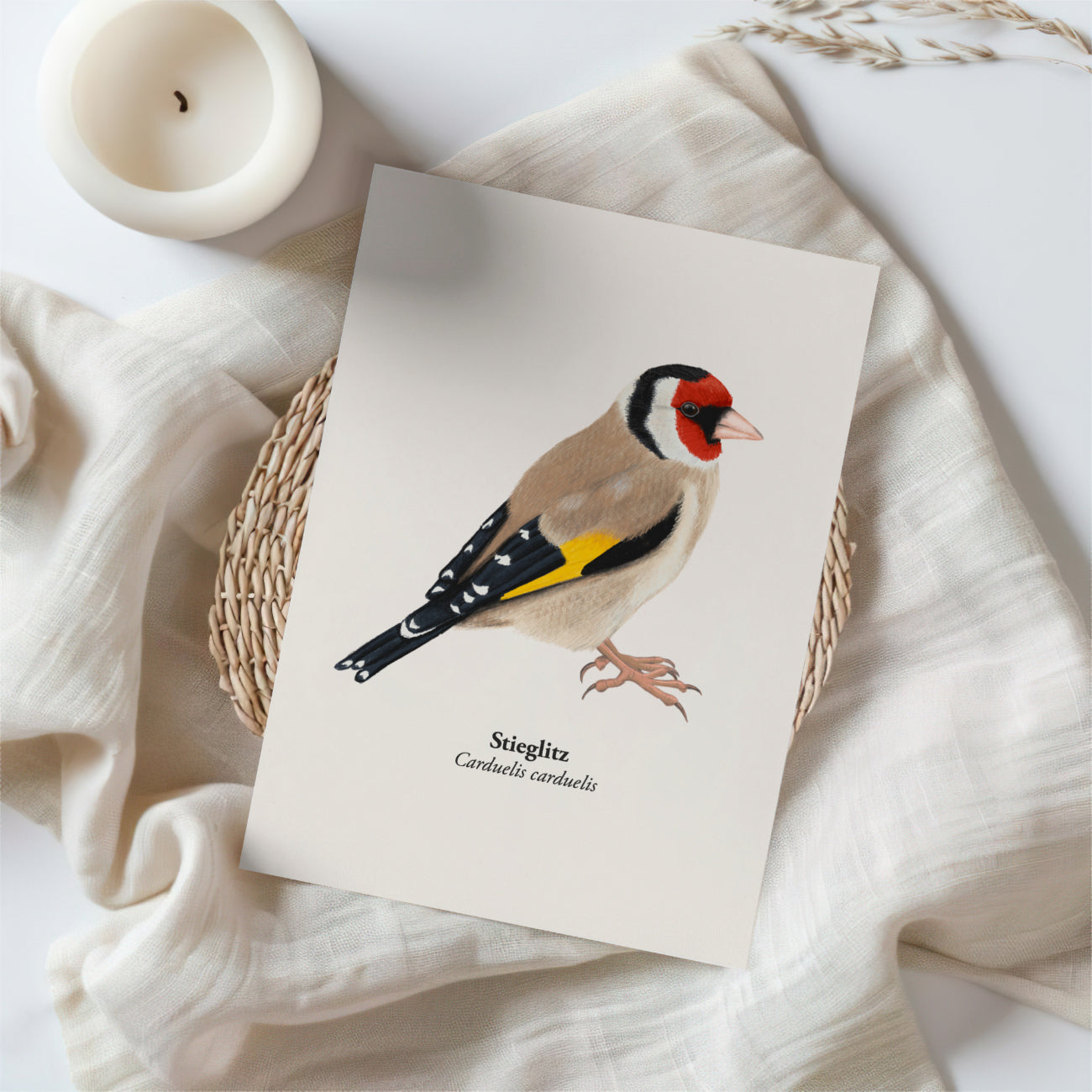 Stieglitz Kunstpostkarte DIN A6 mit Kraftpapierumschlag, Vogel Illustration von Terillu