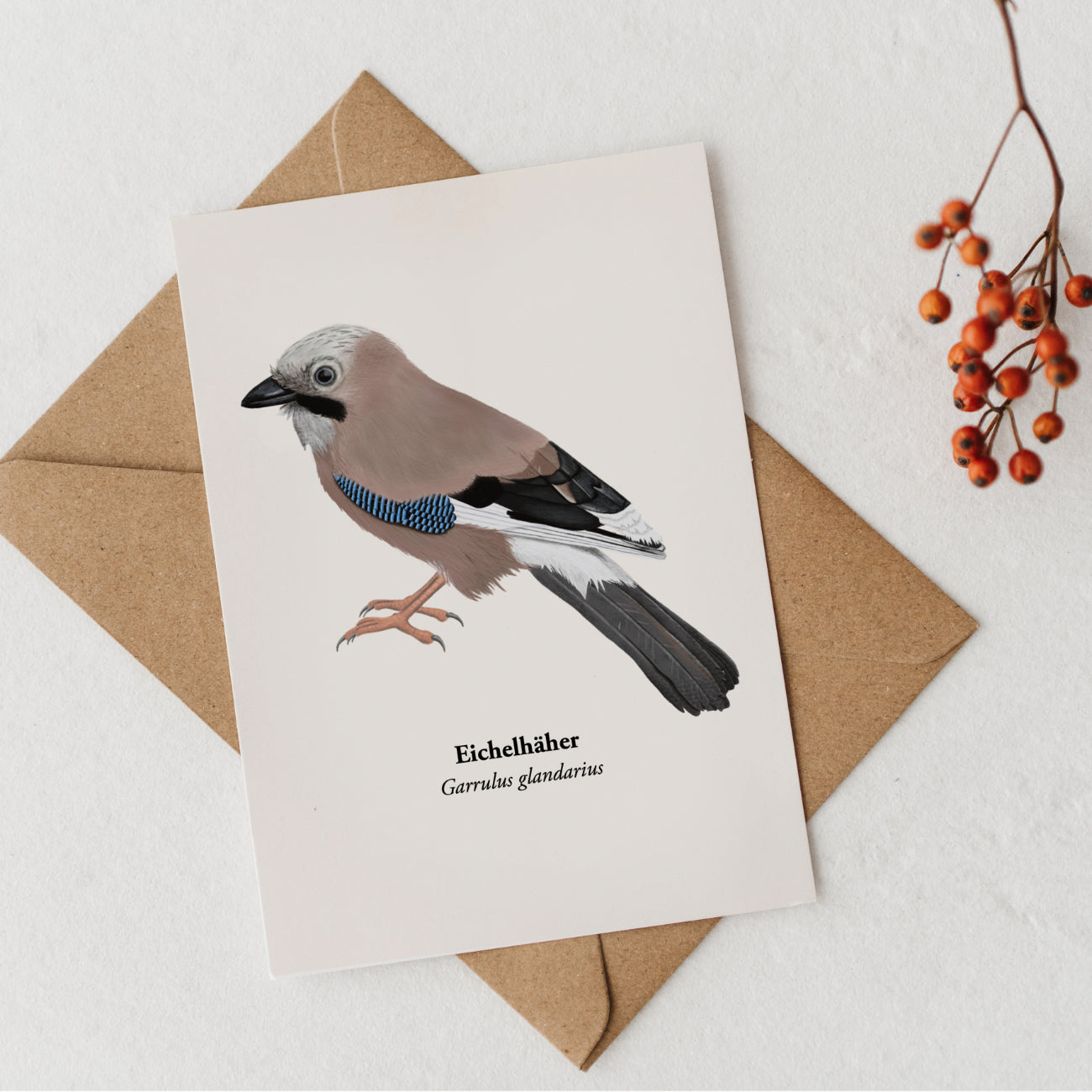 Eichelhäher Kunstpostkarte DIN A6, Naturillustration Garrulus glandarius auf cremefarbenem Hintergrund