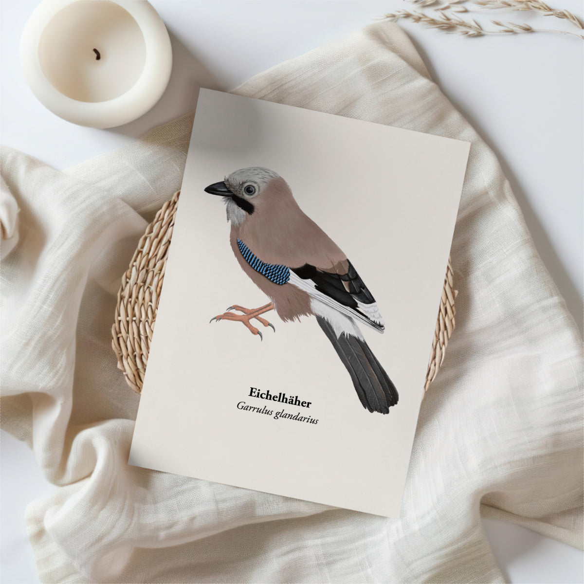 Eichelhäher Postkarte mit Kraftpapierumschlag, Vogel Illustration von Terillu