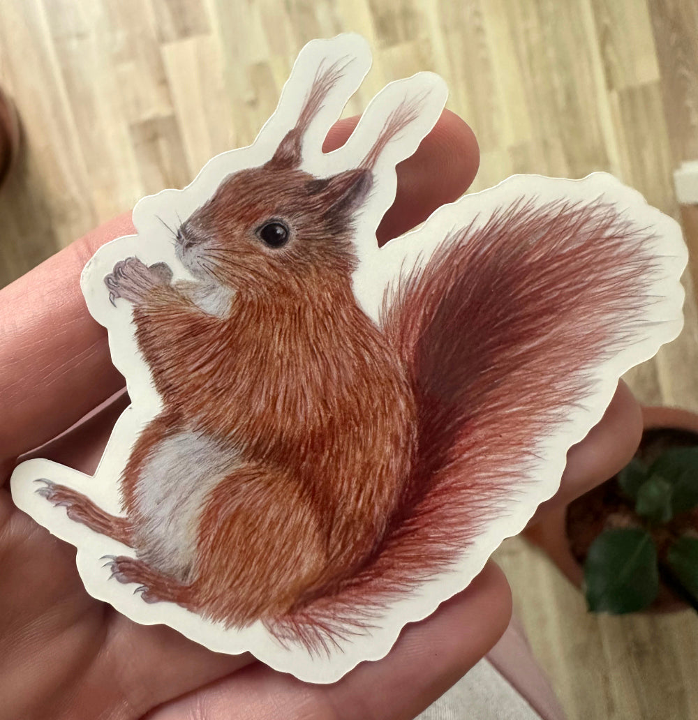 Eichhörnchen Sticker aus wetterfestem Vinyl, Nahaufnahme der Illustration.