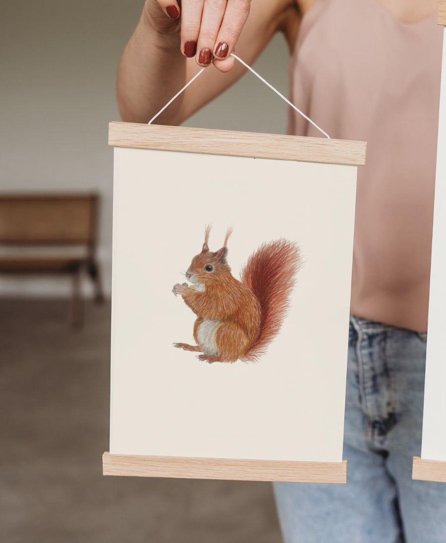 Eichhörnchen Illustration mit Posterleisten aufgehängt