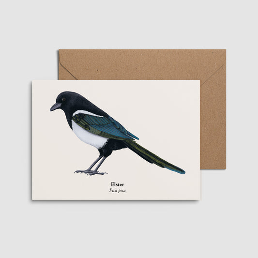 Elster Illustration auf Postkarte im A6 Format