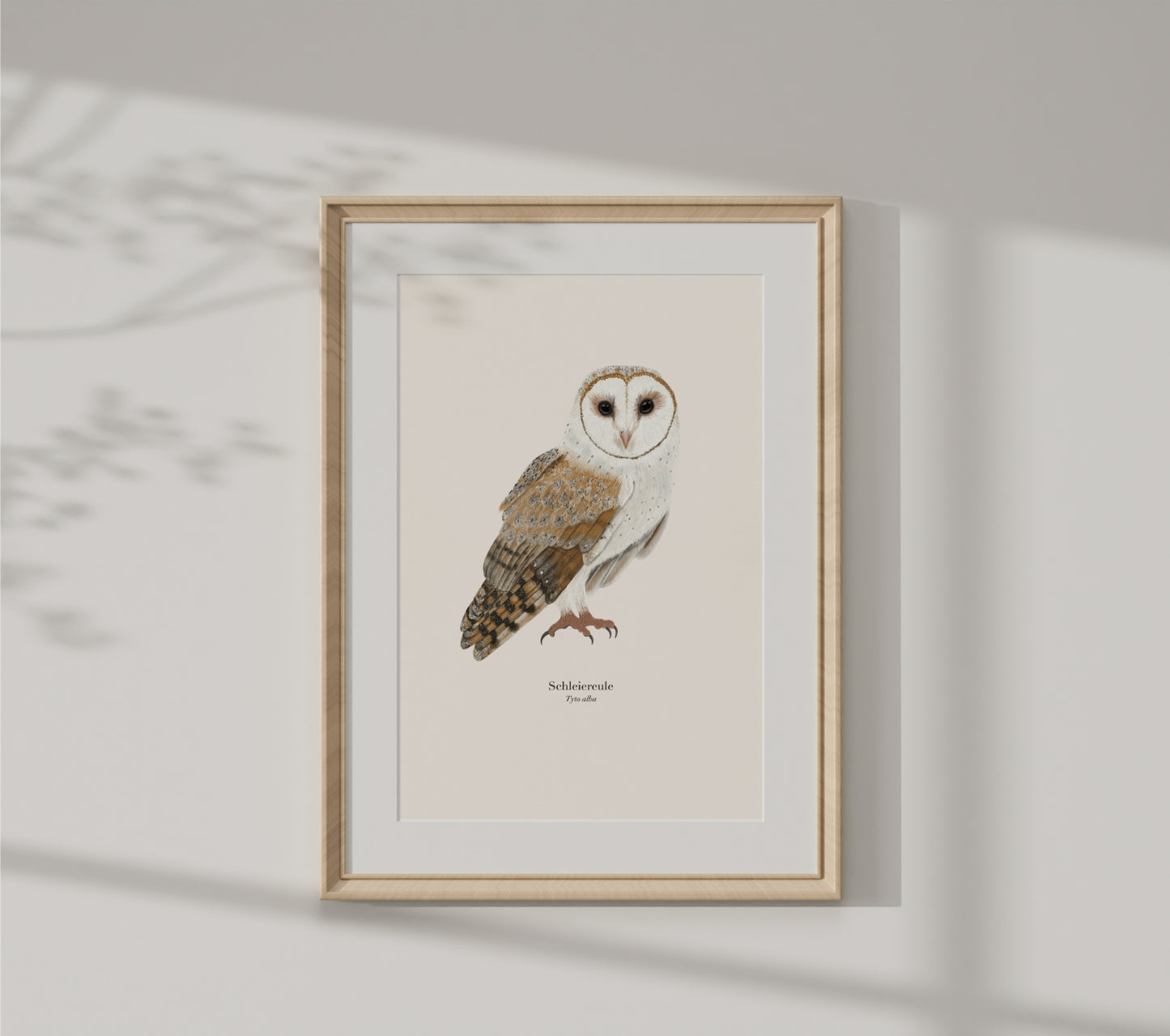 Eule Zeichnung – Schleiereule (Tyto alba) Natur Poster A4 & A3