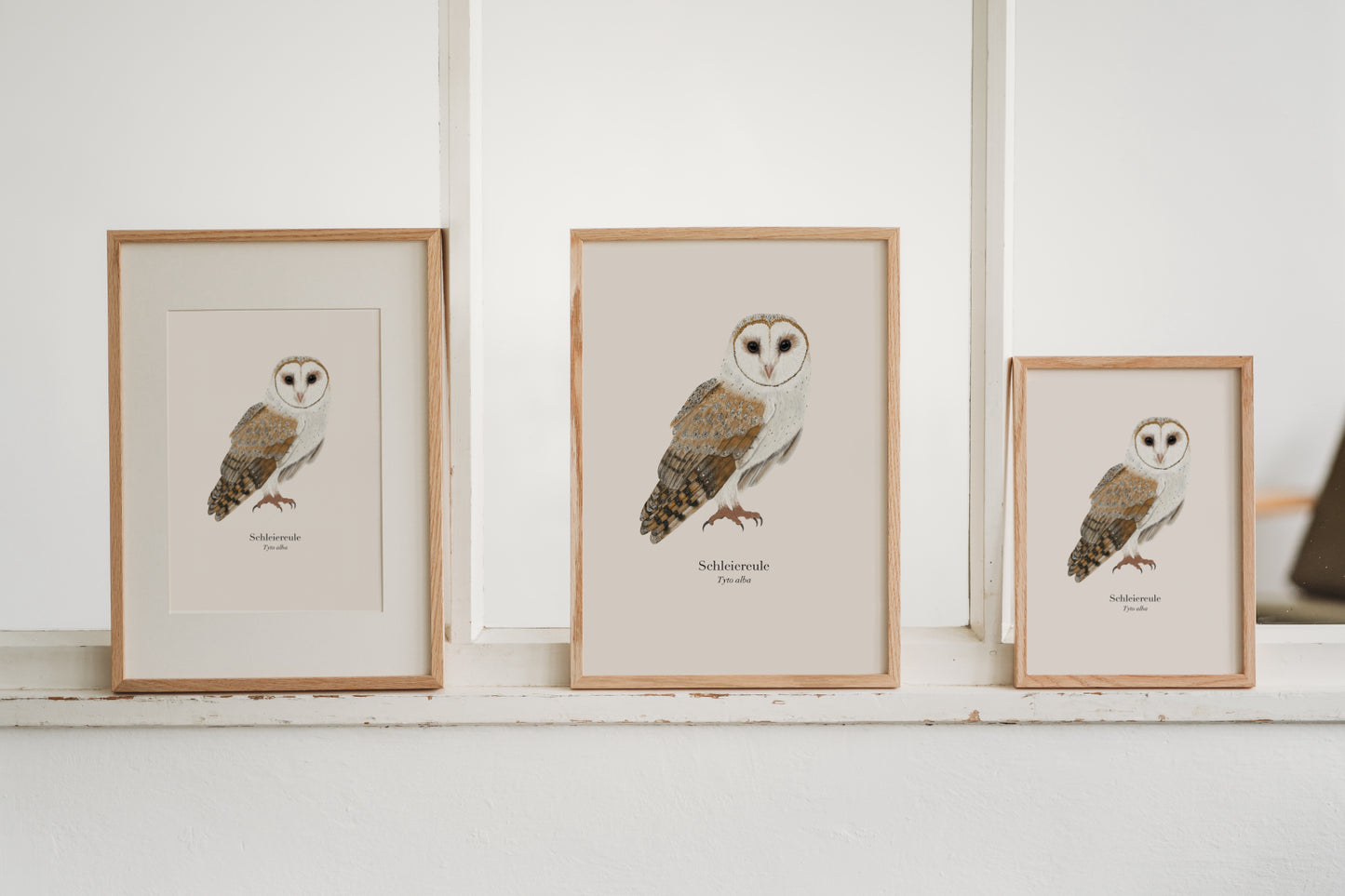 Eule Zeichnung – Schleiereule (Tyto alba) Natur Poster A4 & A3