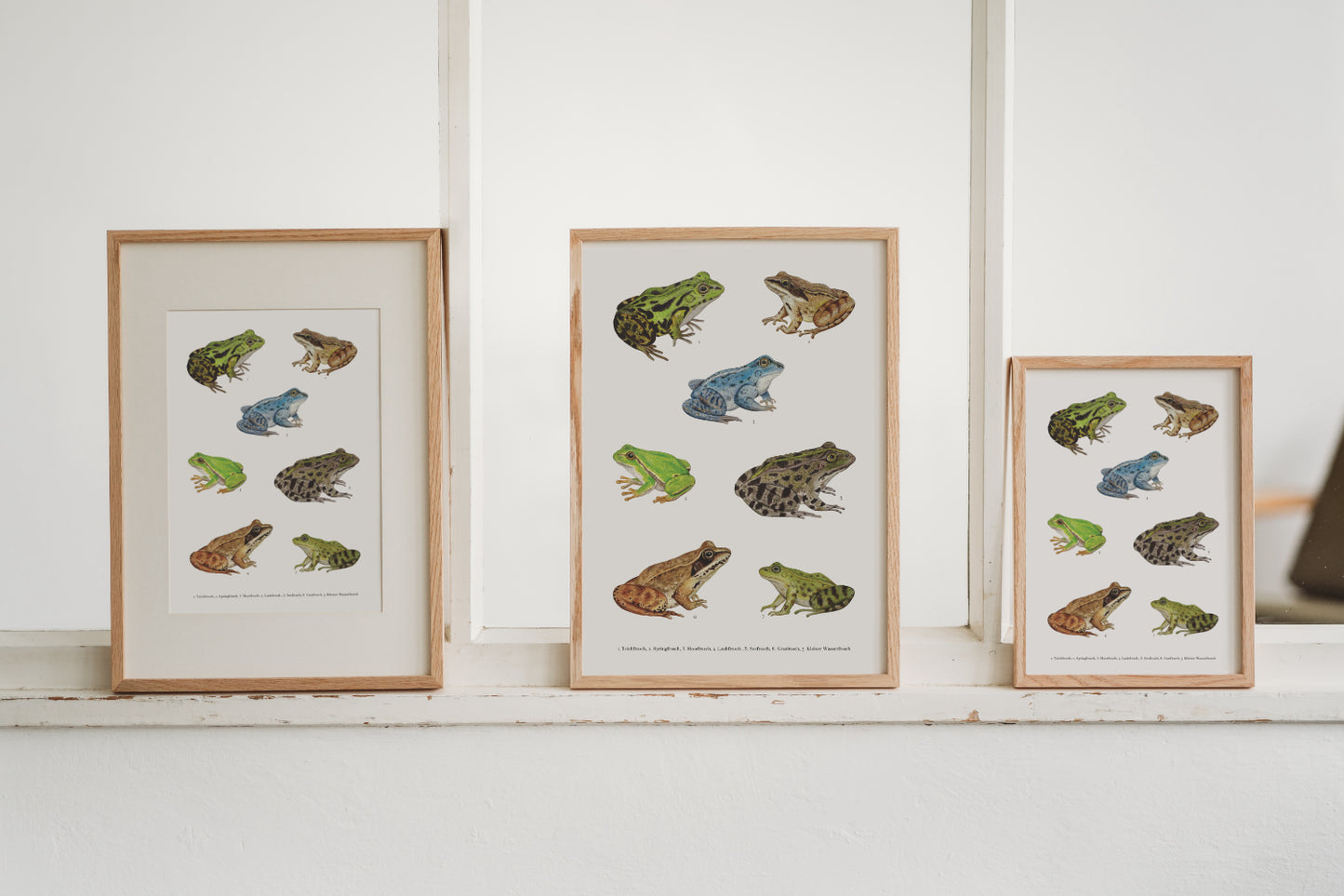 Frosch Poster erhältlich in den Größen A4 und A3