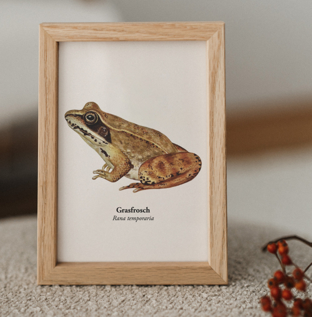 Gerahmte Grasfrosch Postkarte als kleine Wanddekoration