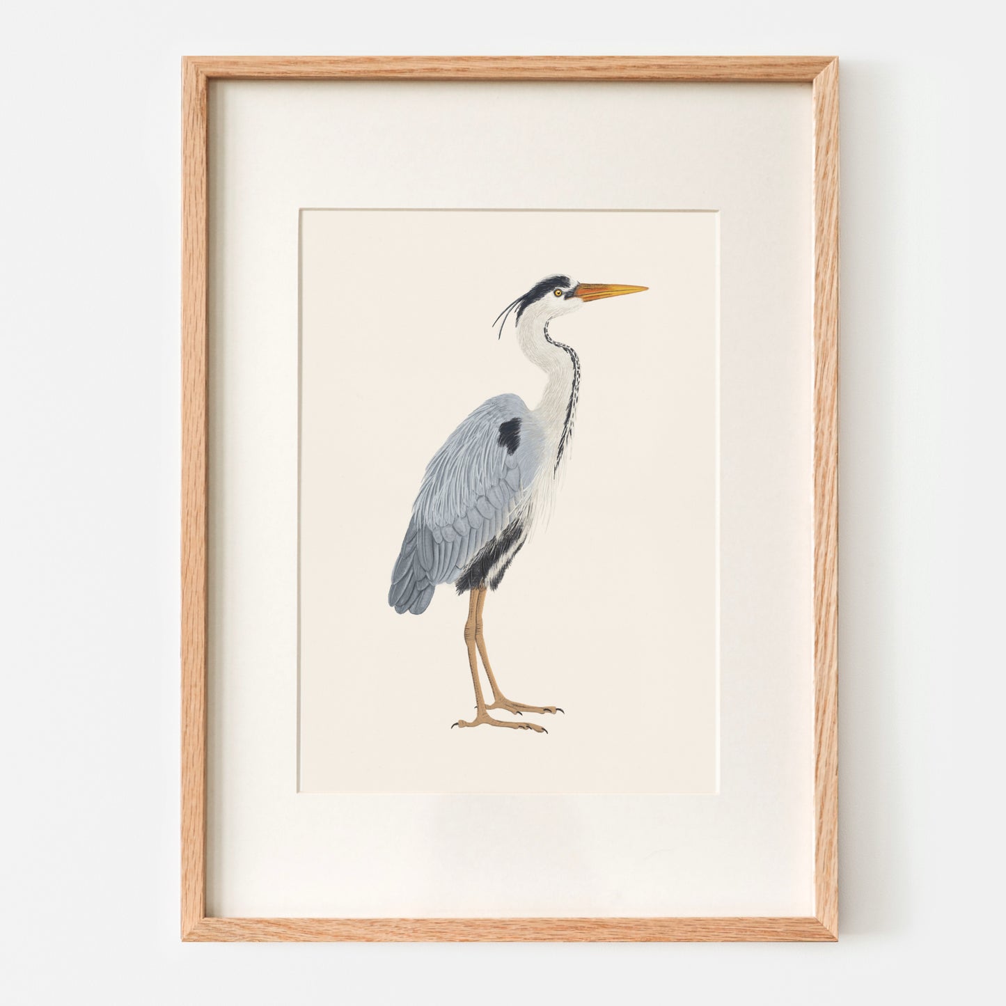 Detailaufnahme eines gerahmten Naturposters mit Graureiher und cremefarbenem Passepartout