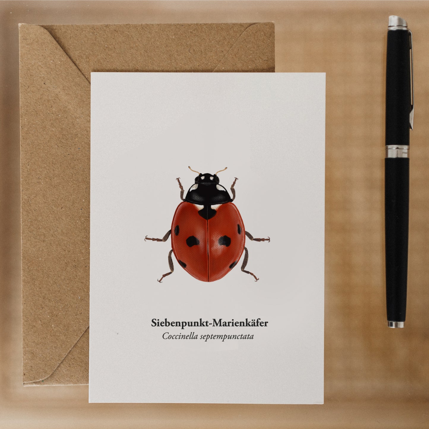 Marienkäfer Postkarte – detailreiche Zeichnung des Siebenpunkt-Marienkäfers