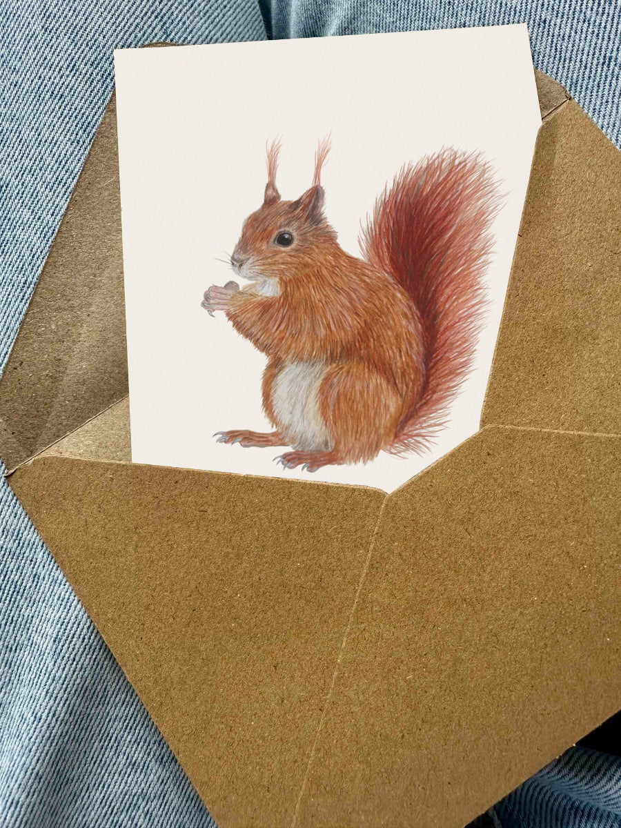 Eichhörnchen Postkarte mit Kraftpapierumschlag – Naturillustration auf Bilderdruckpapier