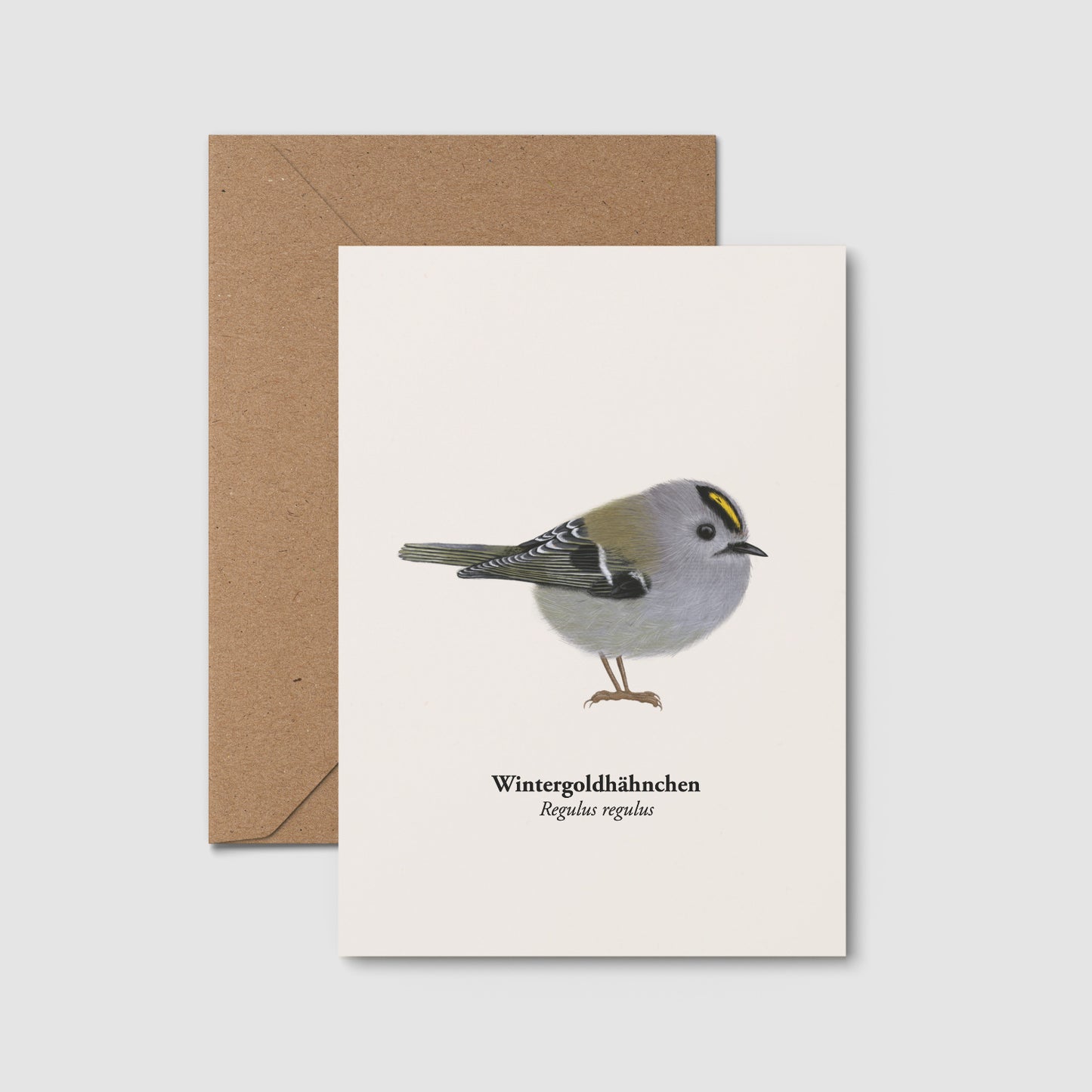 Goldhähnchen Postkarte DIN A6 mit Kraftpapierumschlag, Naturpostkarte mit Vogel Illustration Wintergoldhähnchen
