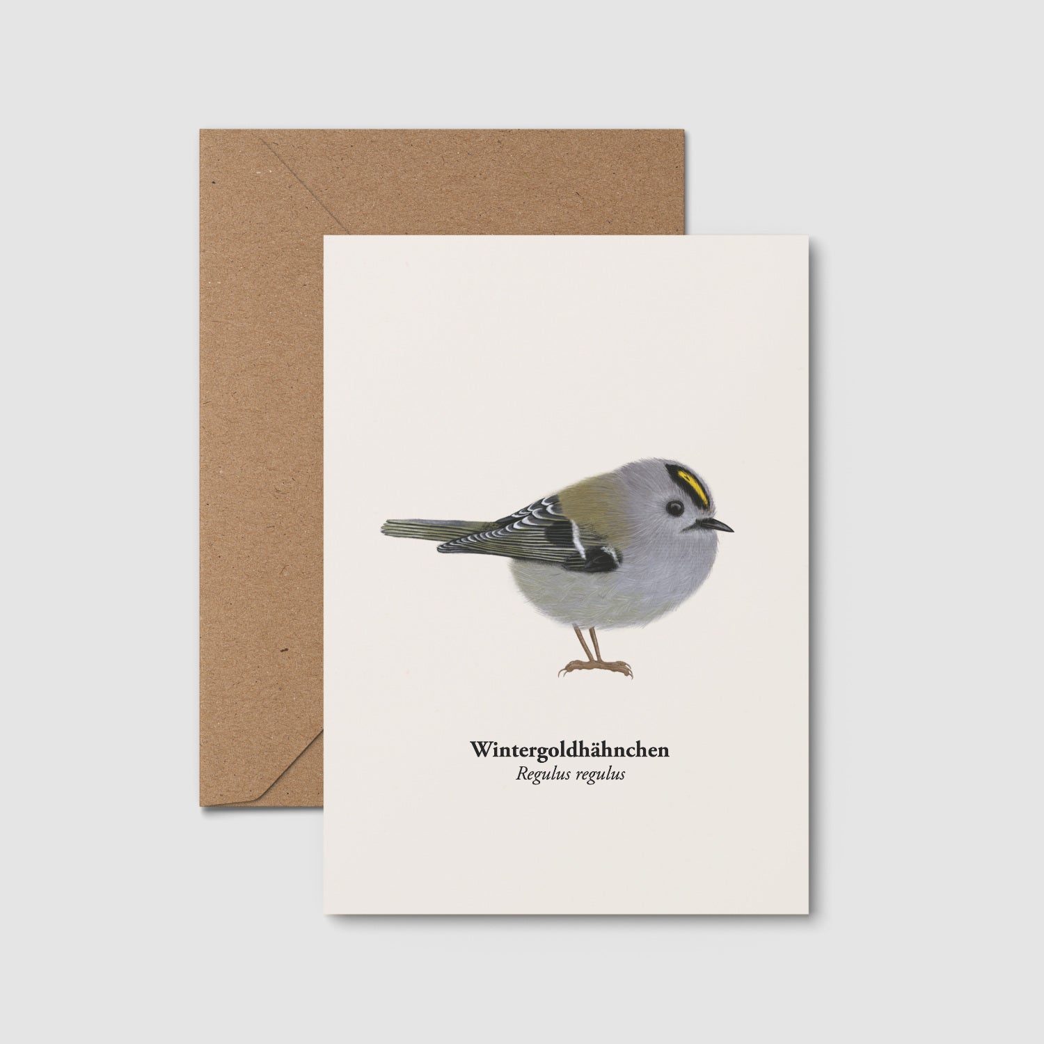 Goldhähnchen Postkarte DIN A6 mit Kraftpapierumschlag, Naturpostkarte mit Vogel Illustration Wintergoldhähnchen