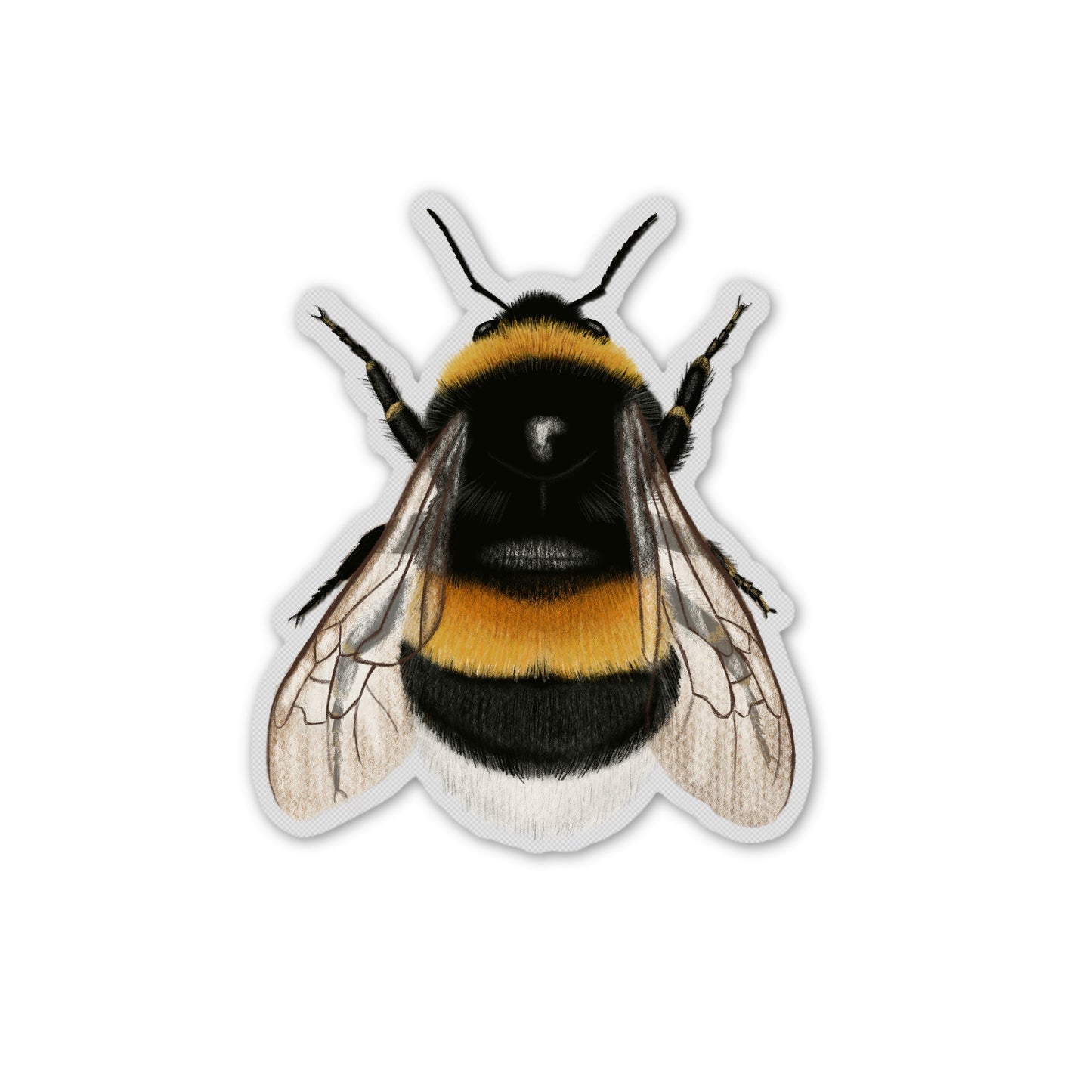 Vinyl Hummel Sticker, naturillustrierter Aufkleber