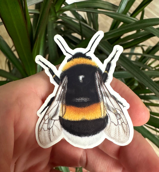 Hummel Sticker in der Hand, detaillierte Naturillustration als Vinyl Aufkleber