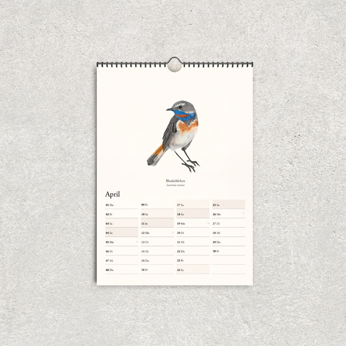 Vogelkalender 2027 – Wandkalender mit heimischen Vögeln im A3 Format