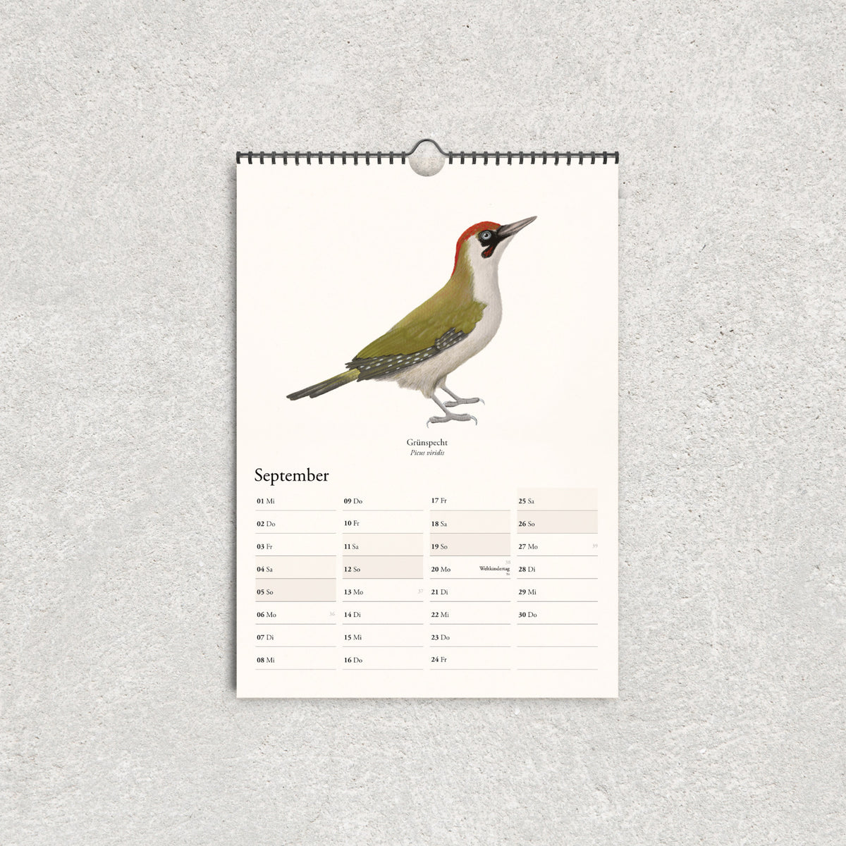 Vogelkalender 2027 – Wandkalender mit heimischen Vögeln im A3 Format