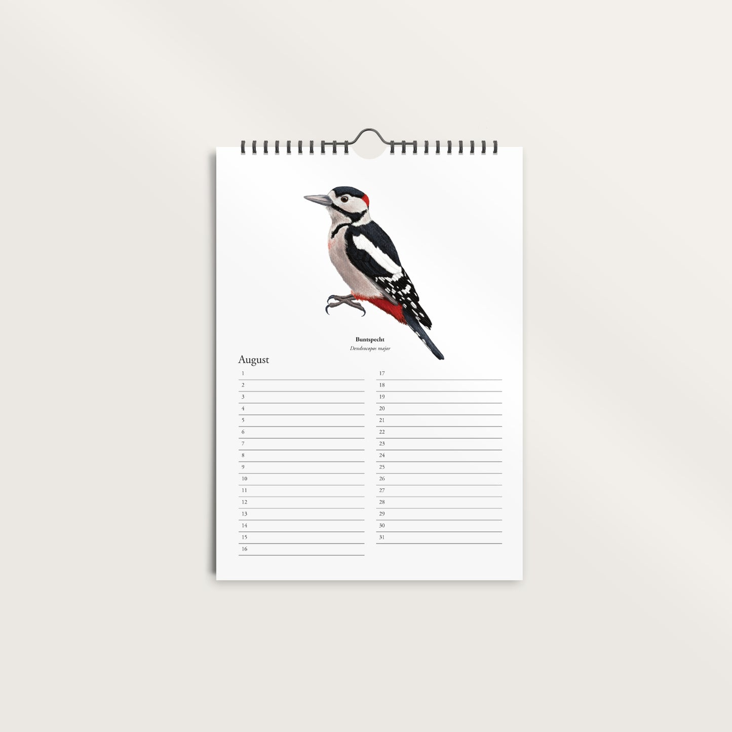Wandkalender A4 ohne Jahr – Monatsseite mit Buntspecht Zeichnung