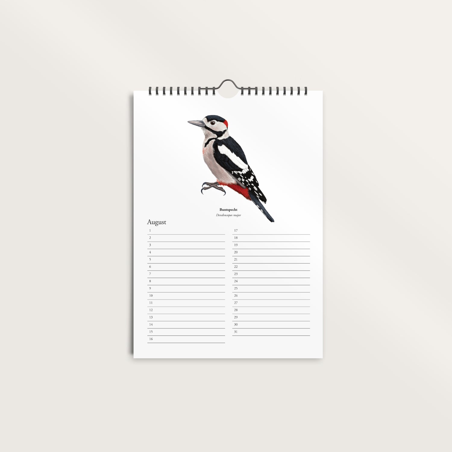 Wandkalender A4 ohne Jahr – Monatsseite mit Buntspecht Zeichnung