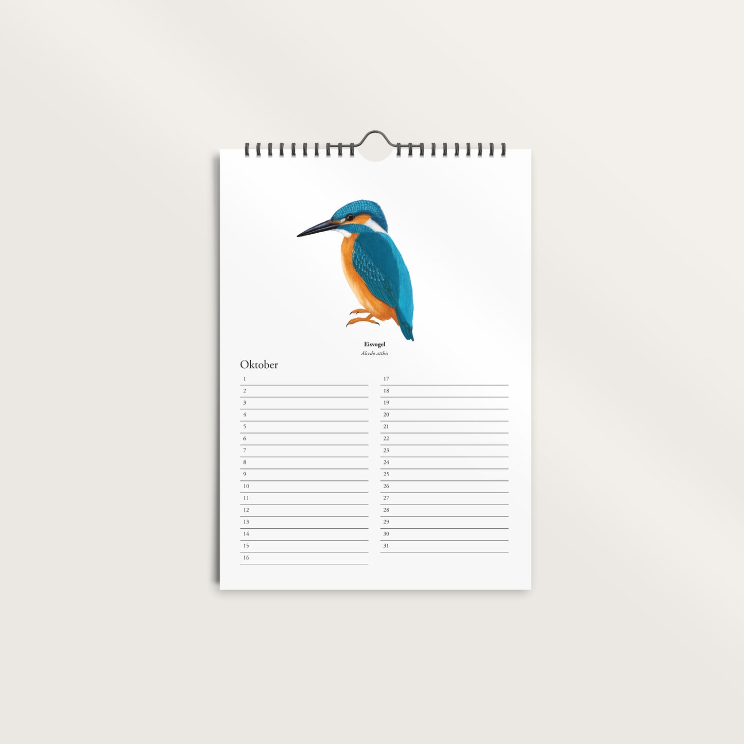 Geburtstagskalender A4 ohne Jahr – Immerwährender Wandkalender mit Vogel Zeichnungen