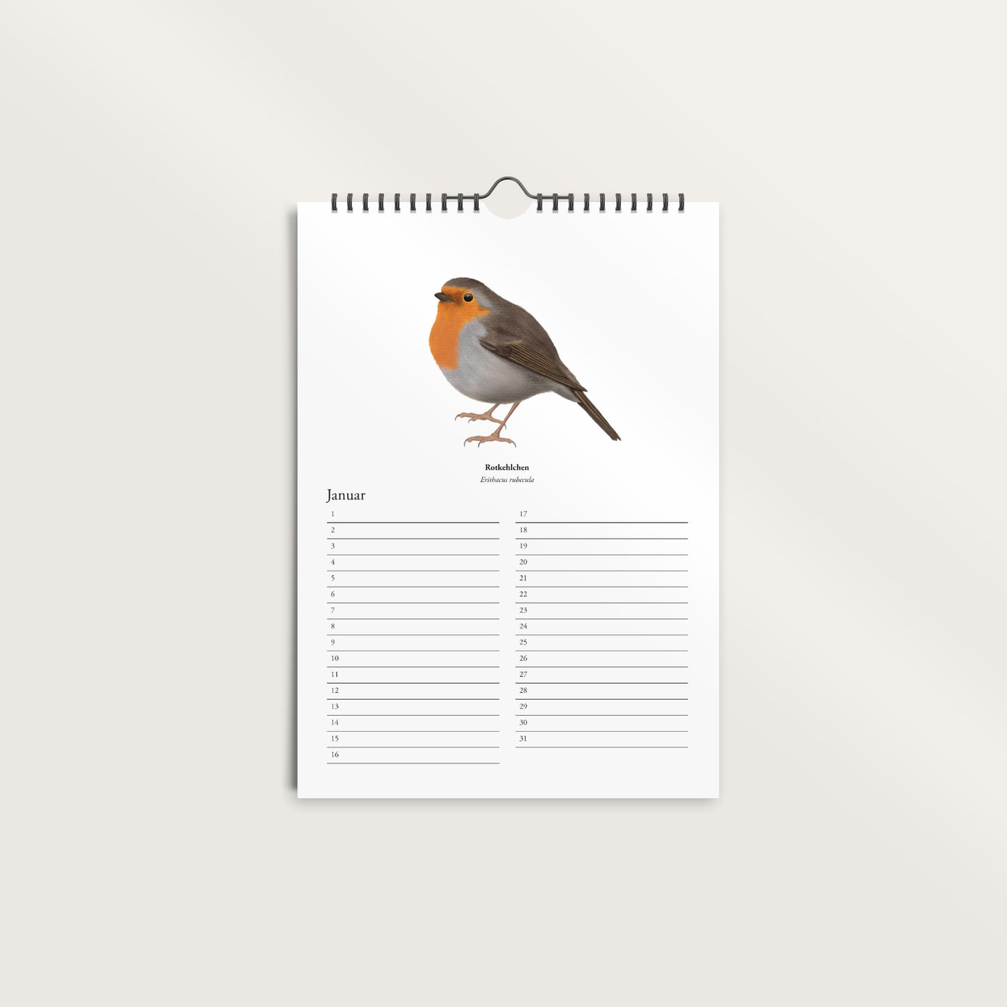 Immerwährender Geburtstagskalender mit Rotkehlchen Zeichnung – A4 Wandkalender