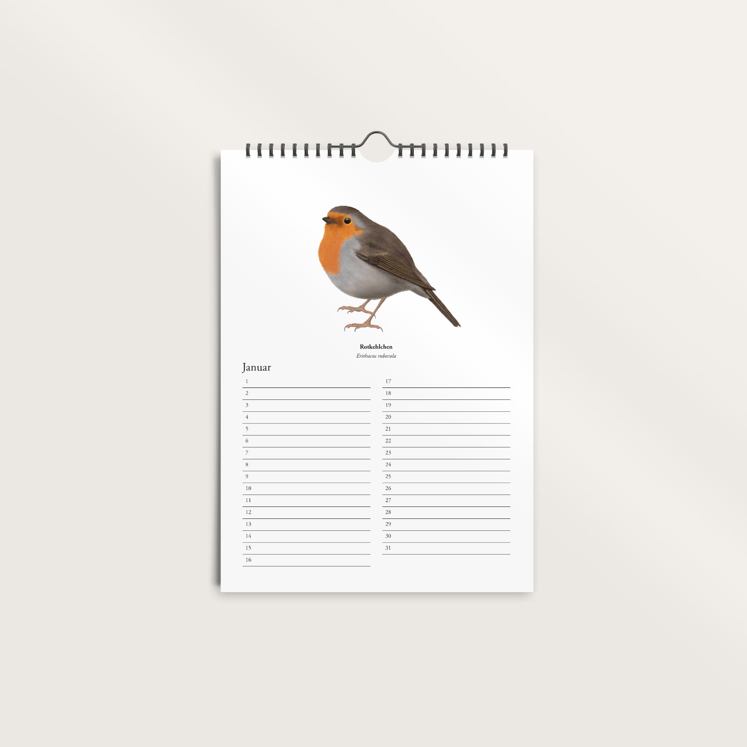 Immerwährender Geburtstagskalender mit Rotkehlchen Zeichnung – A4 Wandkalender
