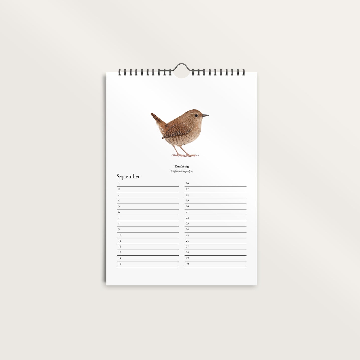 Geburtstagskalender A4 mit Vogel Zeichnungen – Zaunkönig Monatsseite