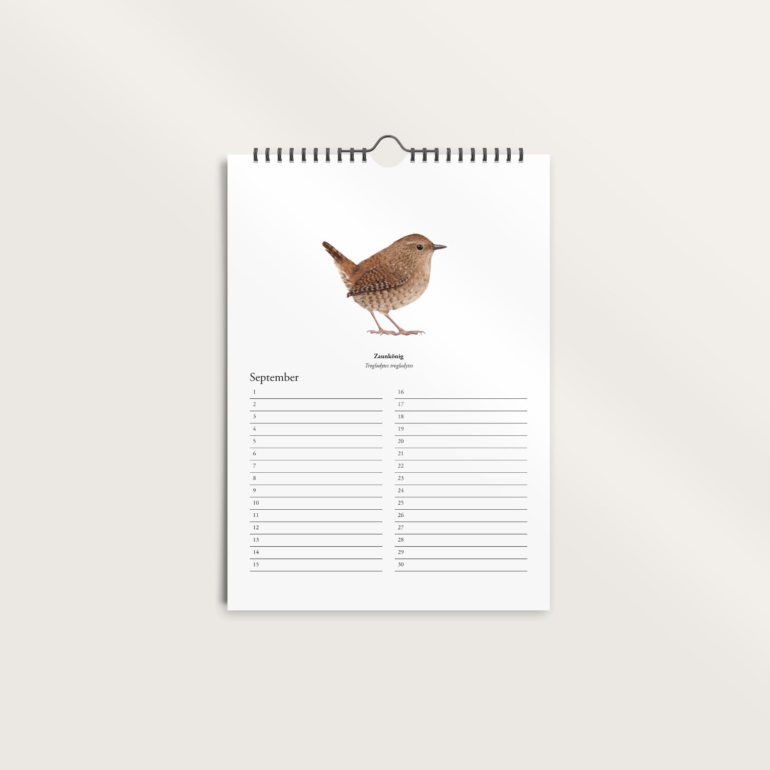 Geburtstagskalender A4 mit Vogel Zeichnungen – Zaunkönig Monatsseite